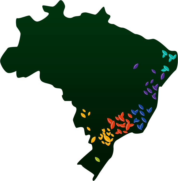 mapa-br-new